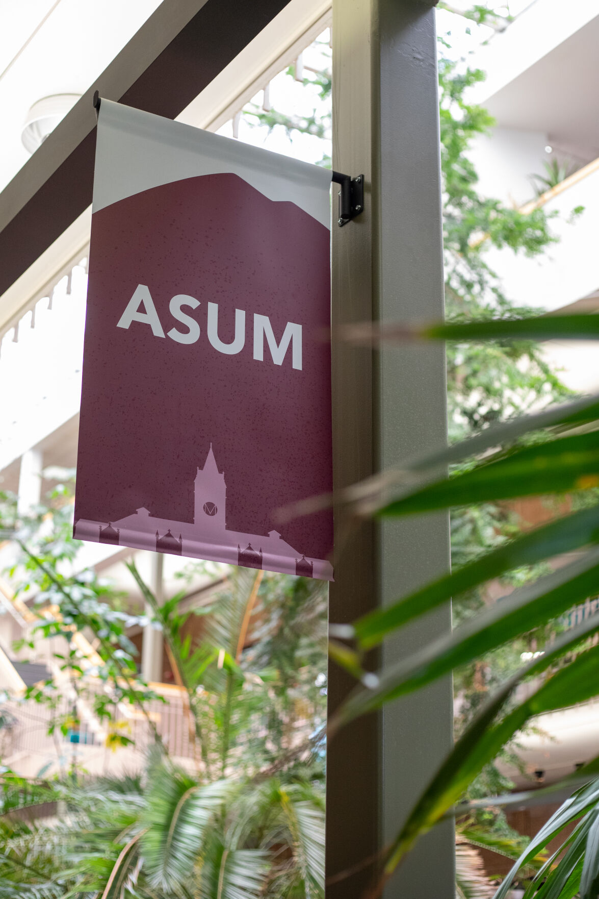 Shinner_ASUMFlag
